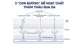 Thiết kế chưa có tên (30)